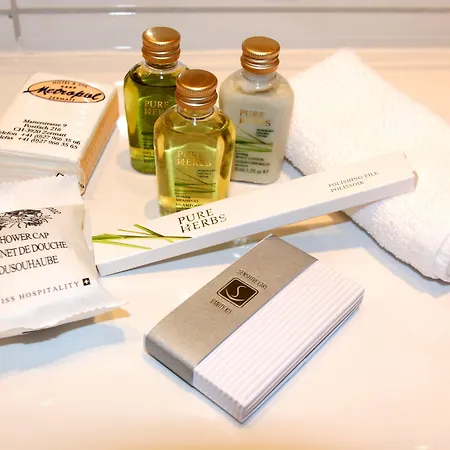 메트로폴 앤 스파 체르마트