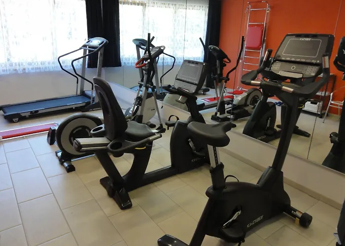 采尔马特大都会spa酒店 4*