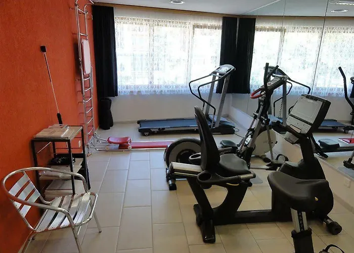 酒店 采尔马特大都会spa酒店 4*