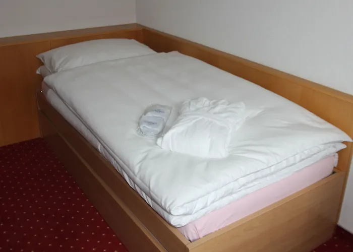 메트로폴 앤 스파 체르마트